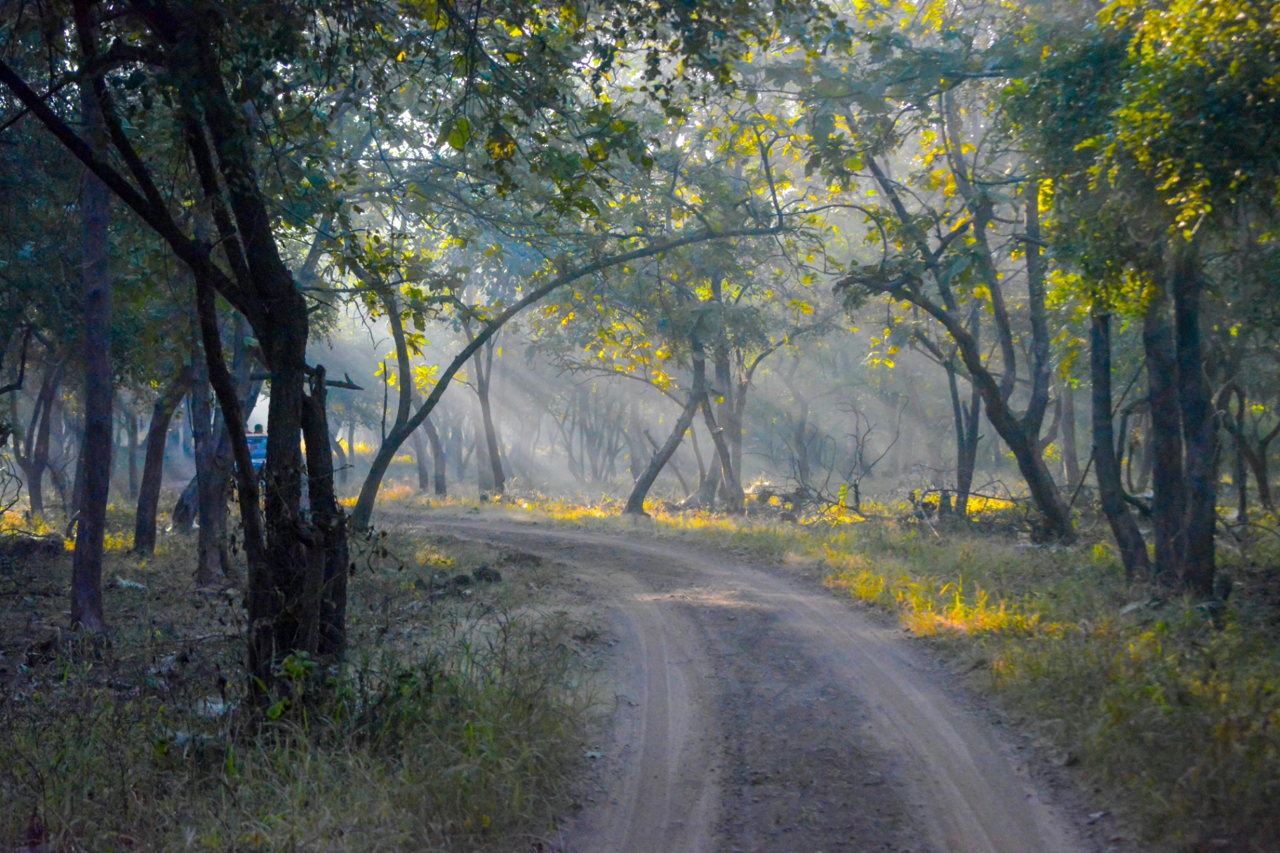 A safari jeep waits at the Moharli gate in the half-light.