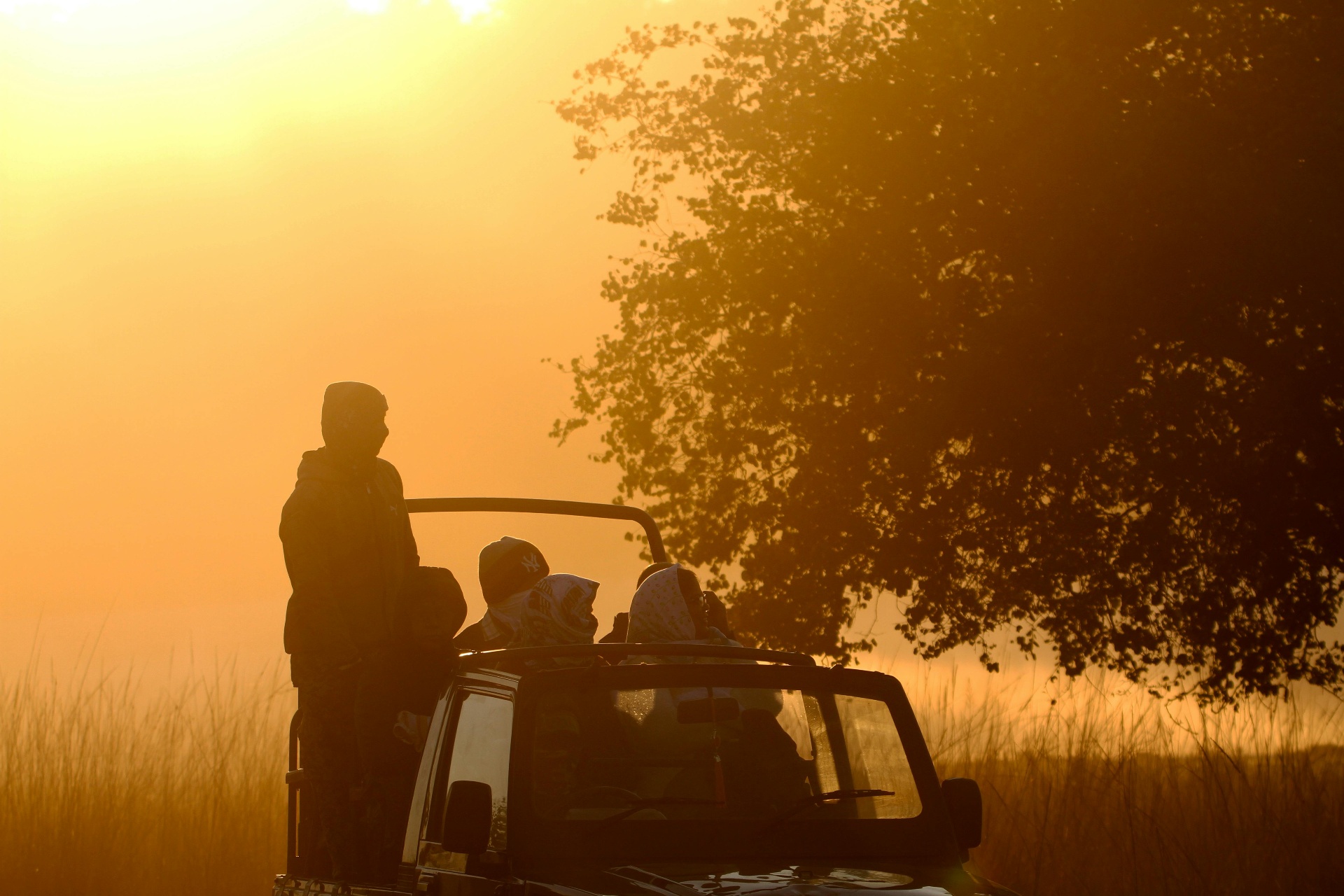 First light on Tadoba Lake, the heart of Moharli zone.